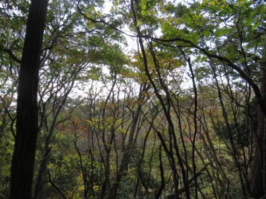 画像36